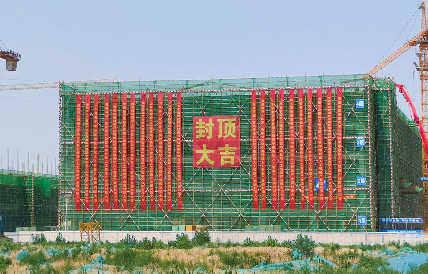 1655856481603481.jpg 封顶1.jpg